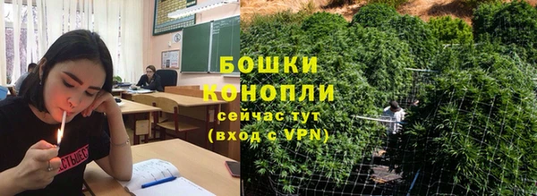 ECSTASY Абаза